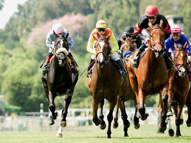 Great Horse Racing Background For Puter Wallpaper