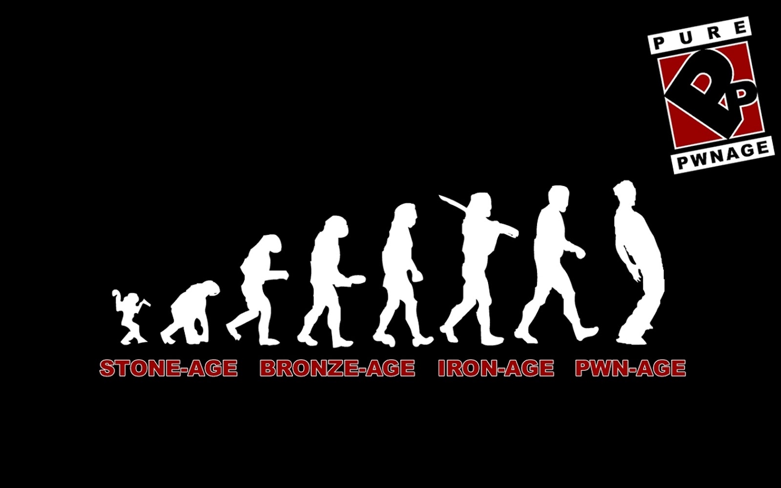 Humorous depiction of human evolution culminating in the 'PWN-AGE'