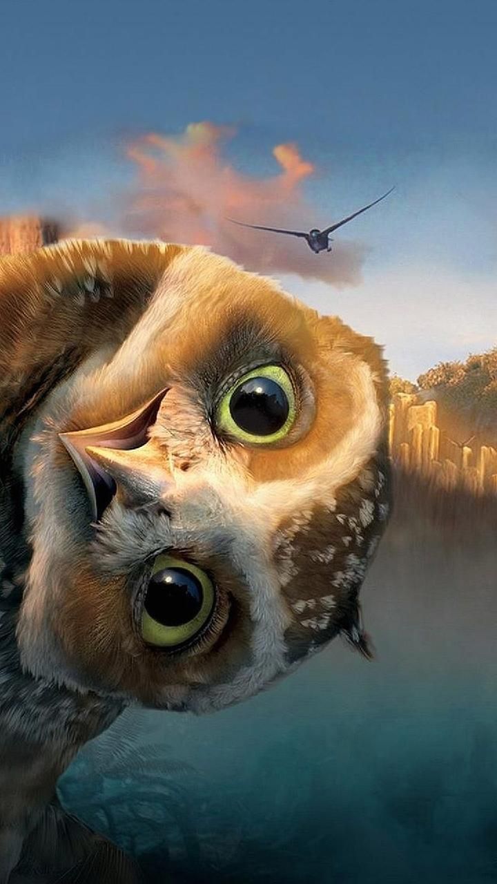 Funny Owl Wallpaper By Salamouche