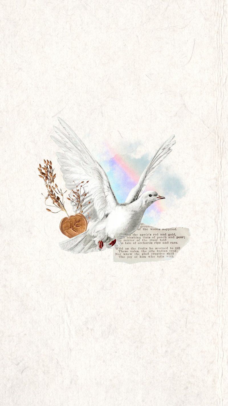 White Dove Wallpaper