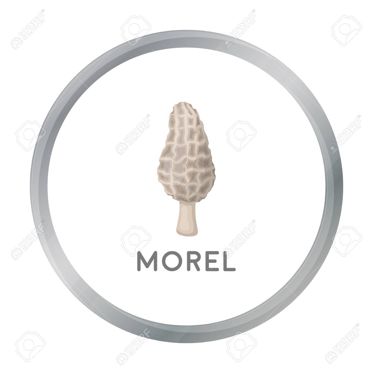 Morel Icon In Cartoon Style Isolated On White Background Mushroom