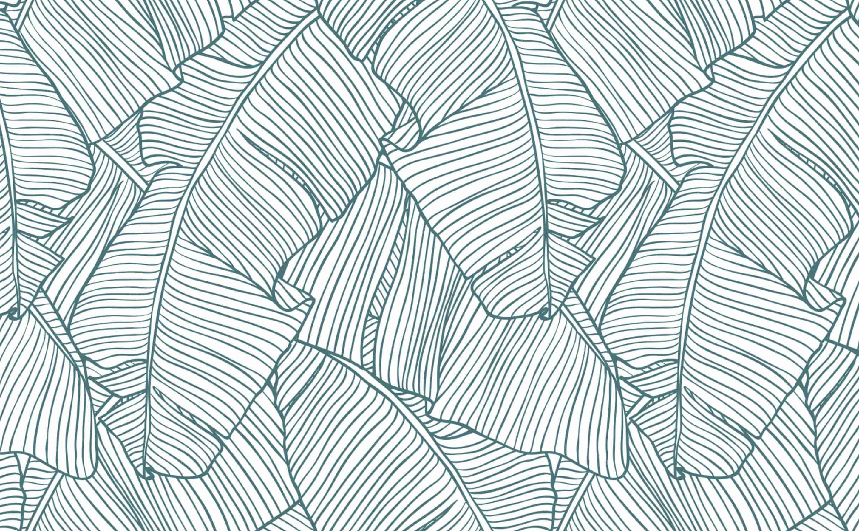 Palm Leaves Tropical Wallpaper For Walls The Palms In White