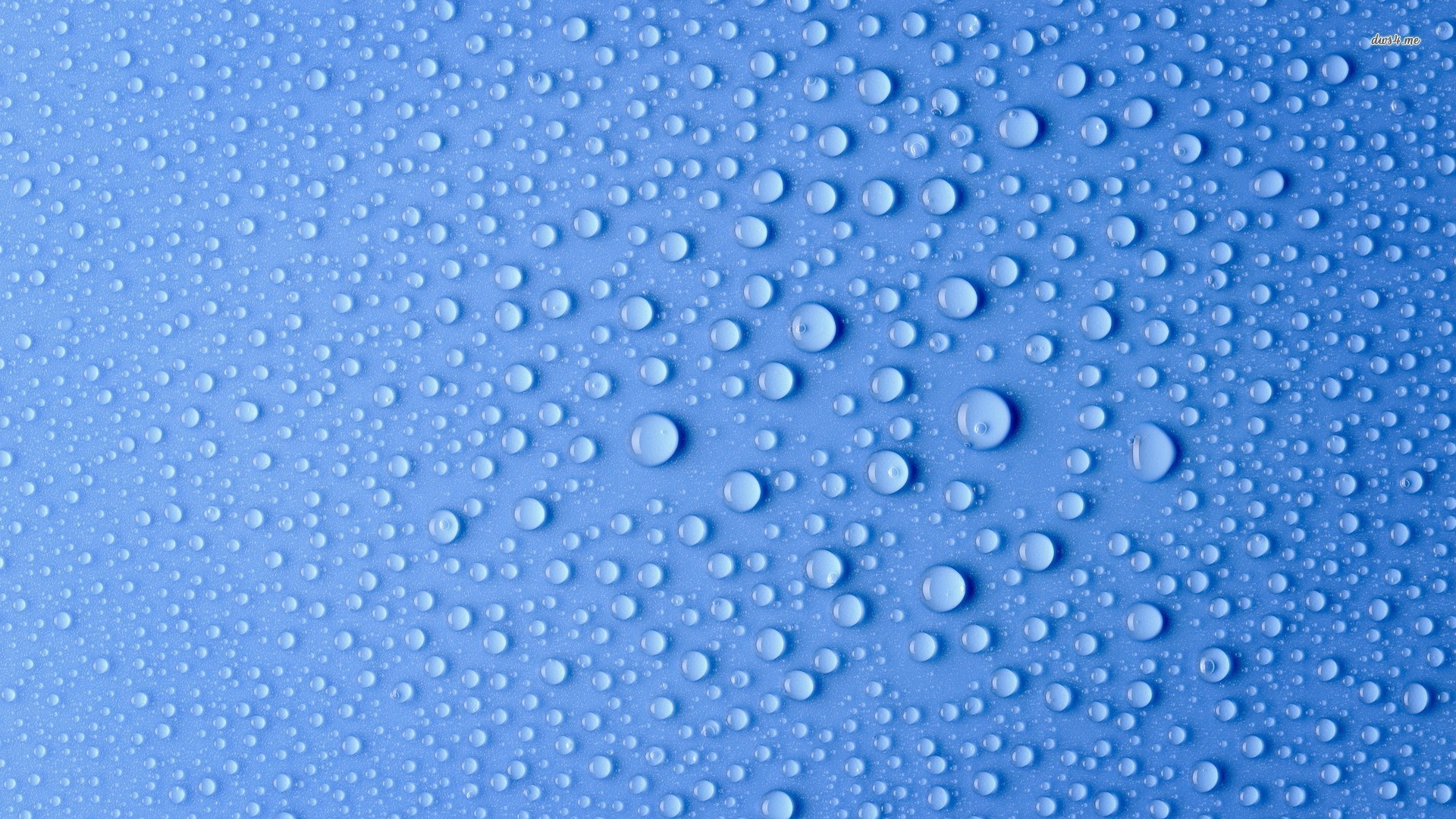 Hd Water Drops Wallpaper