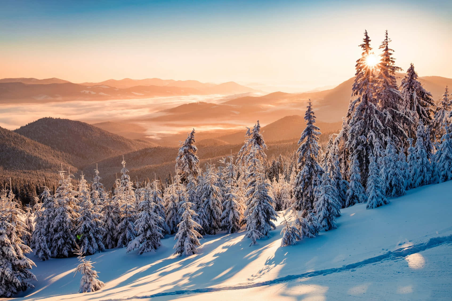 Winter Solstice Wallpaper