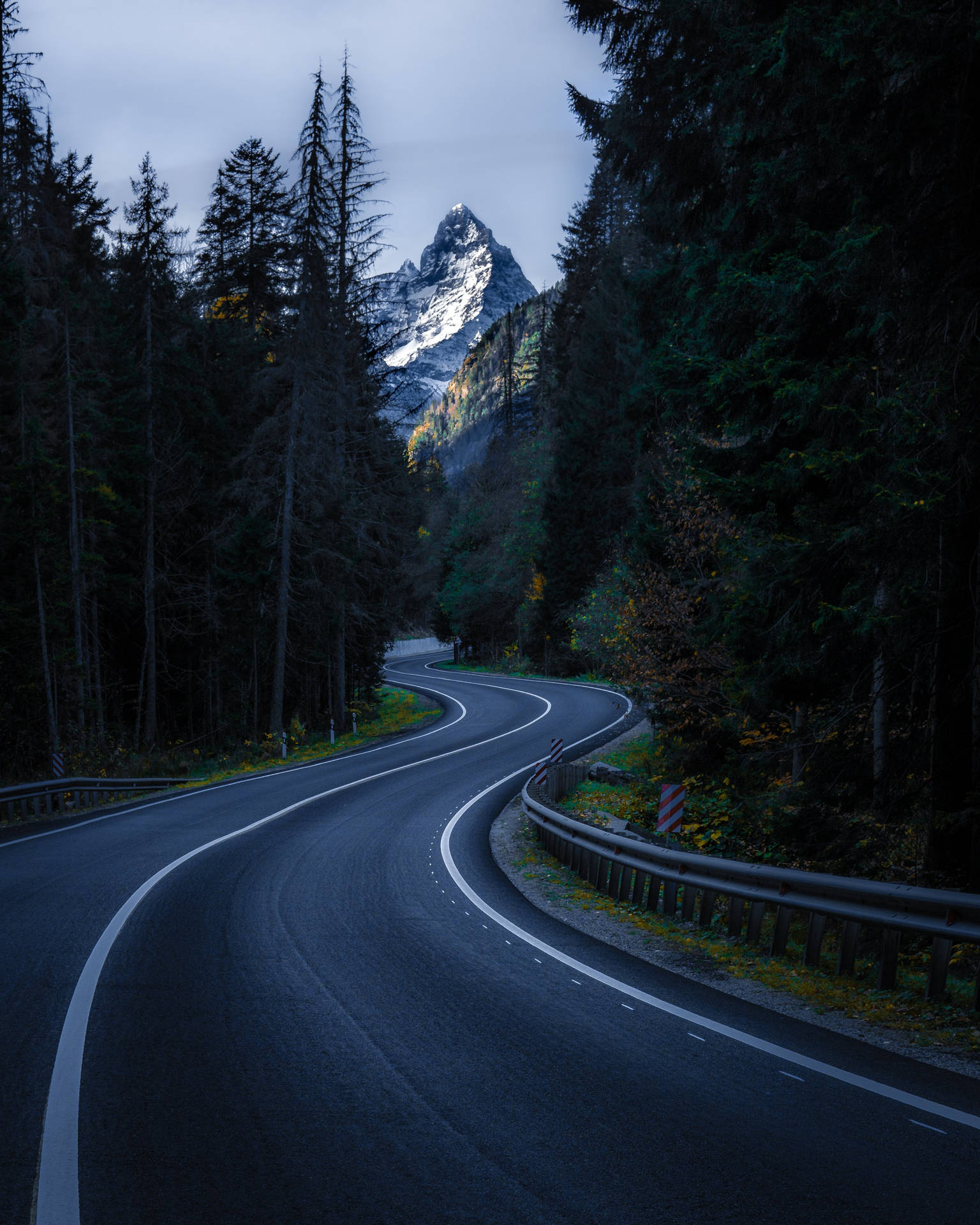 HD Nature Phone Wallpaper