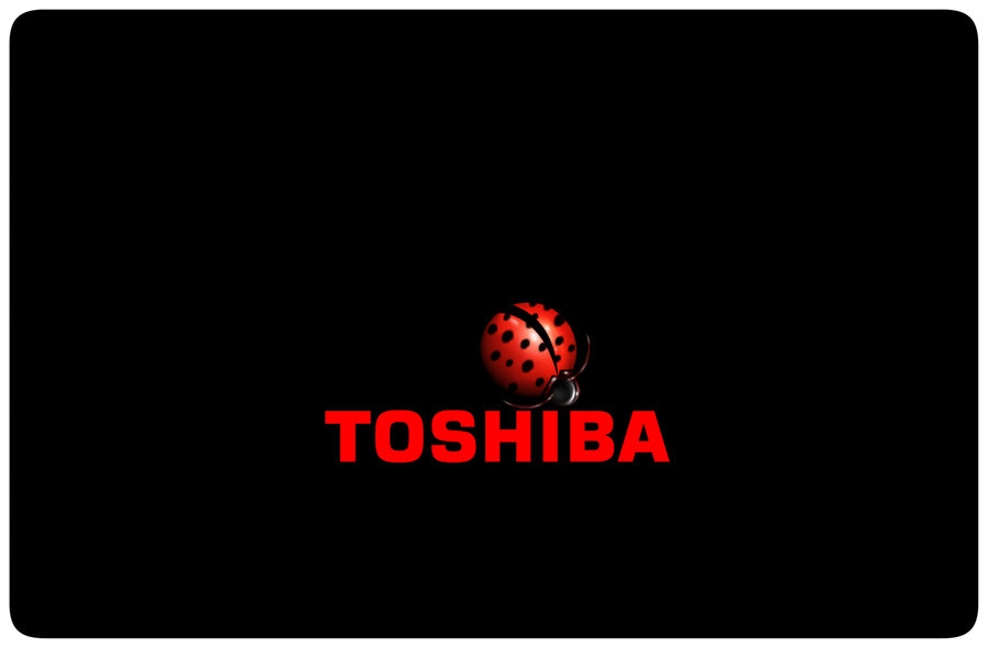 Ladybug Toshiba Laptop By Vampirekingdom