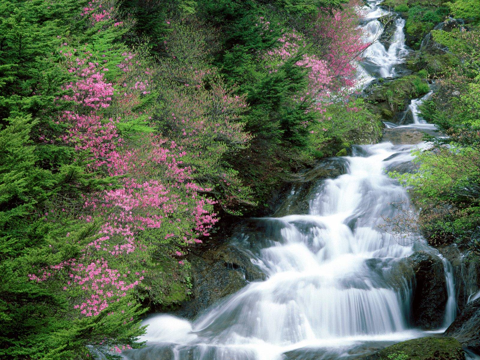 Waterfalls Wallpaper Picture