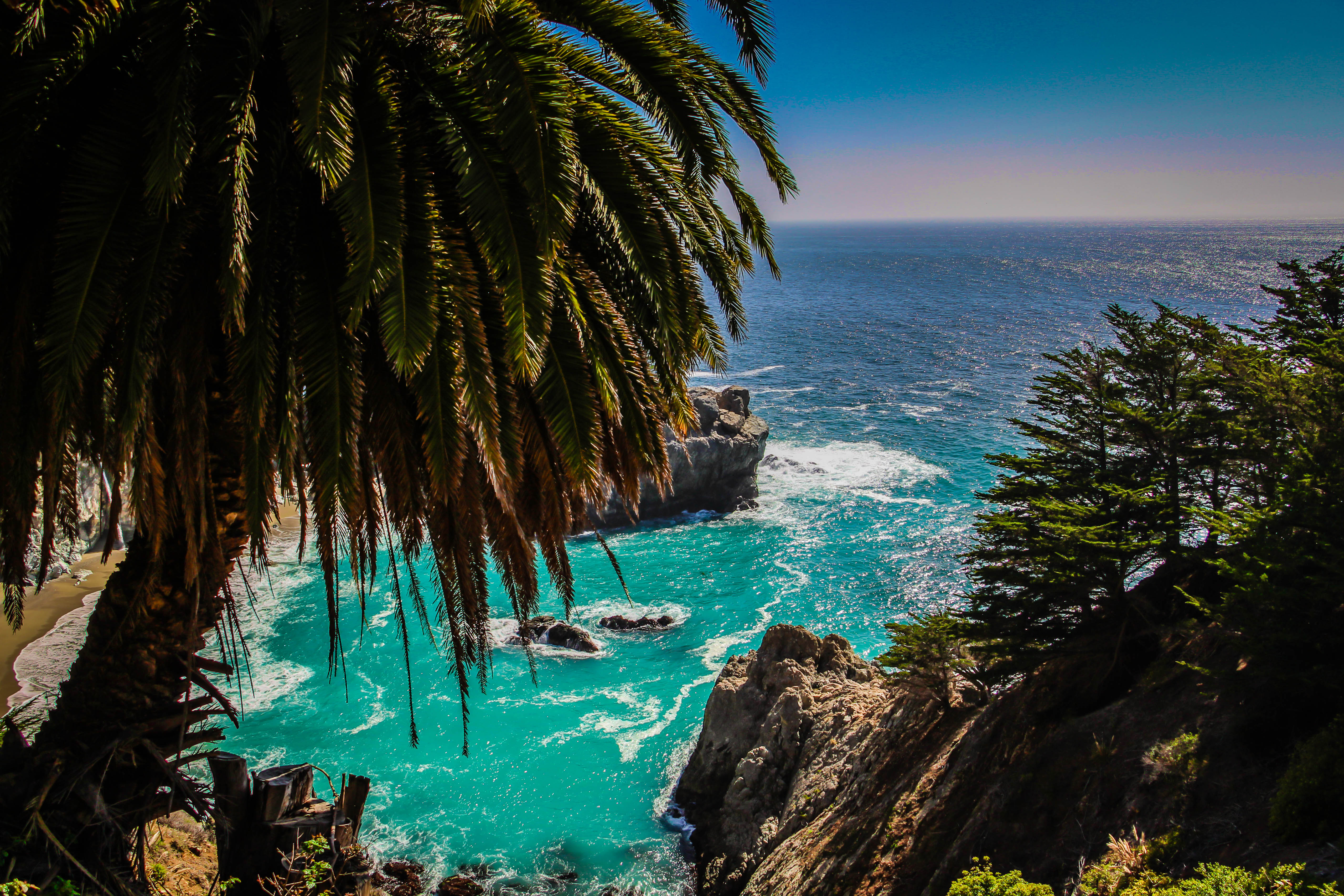 HD Wallpaper Palm Tree Over Mcway Cove In Big Sur