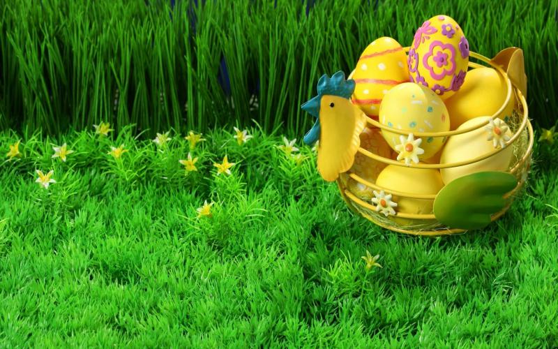 Grass Beautiful Yellow Eggs Flowers Easter Peaceful Happy