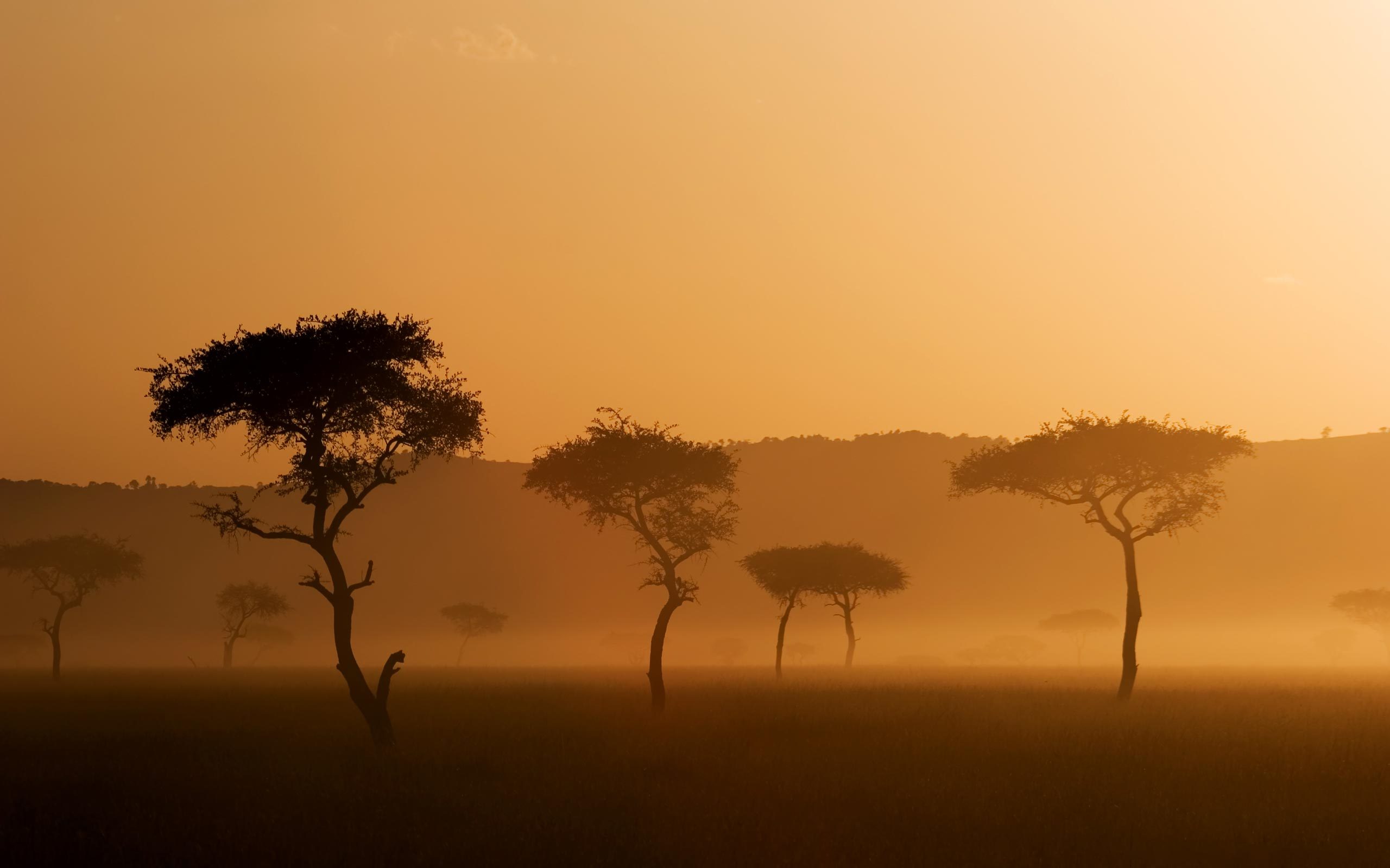 Best Desktop Background Savannah