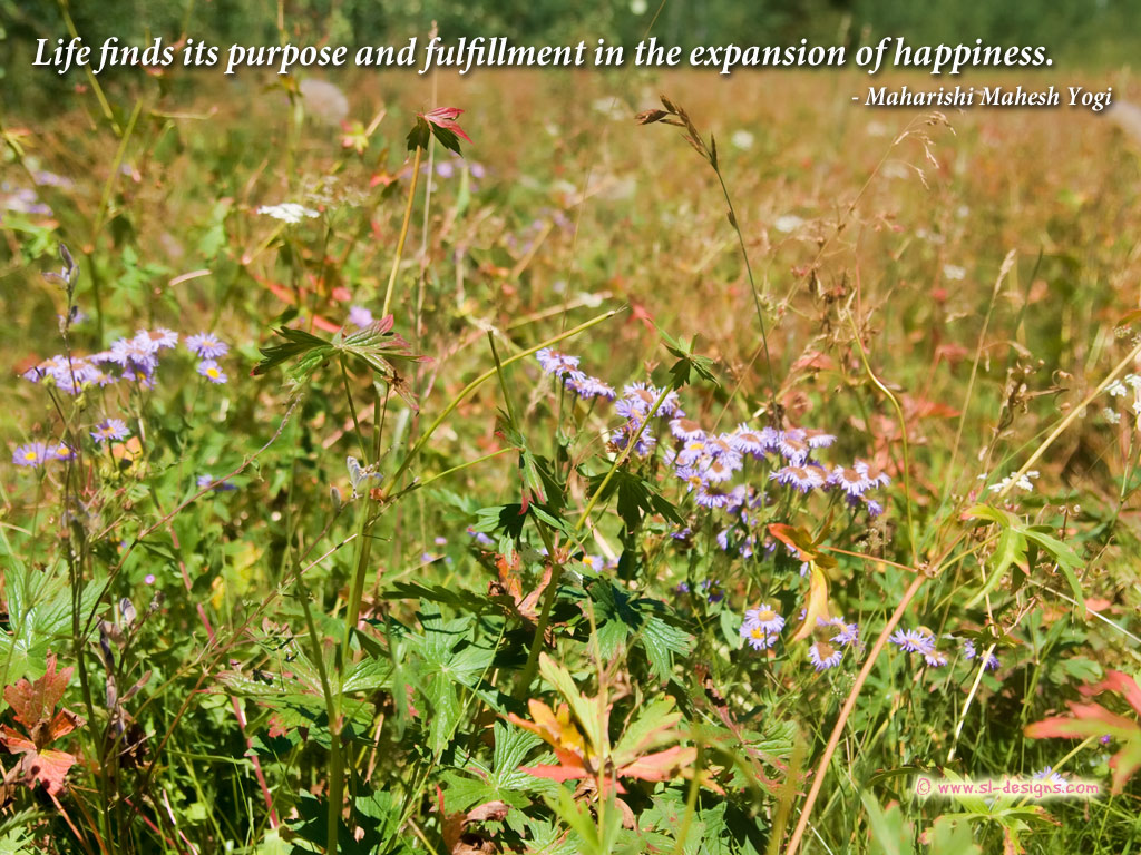 Desktop Wallpaper With Happiness Quote About Life By