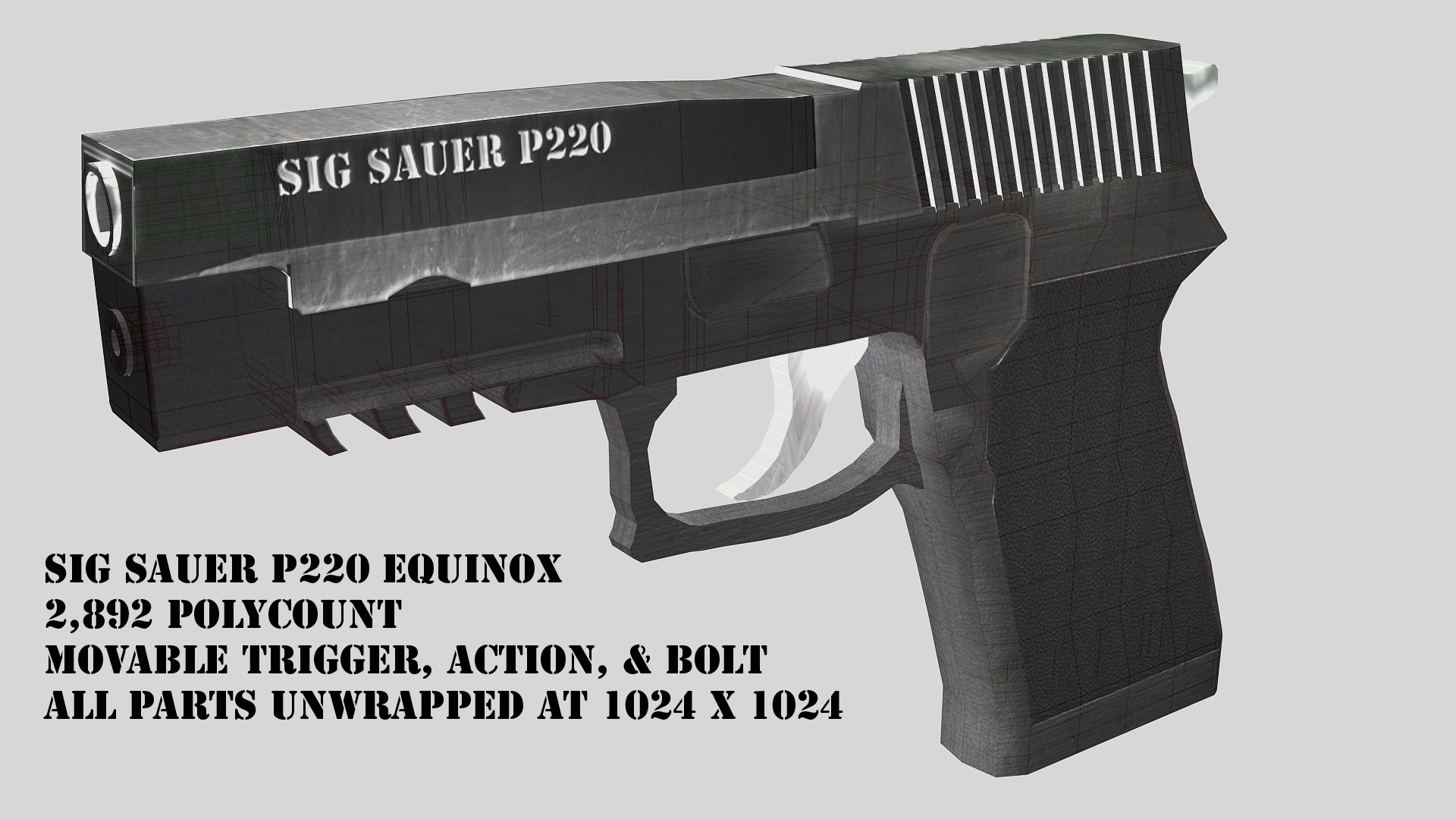 Sig Sauer P220 Equinox By Ghost12332