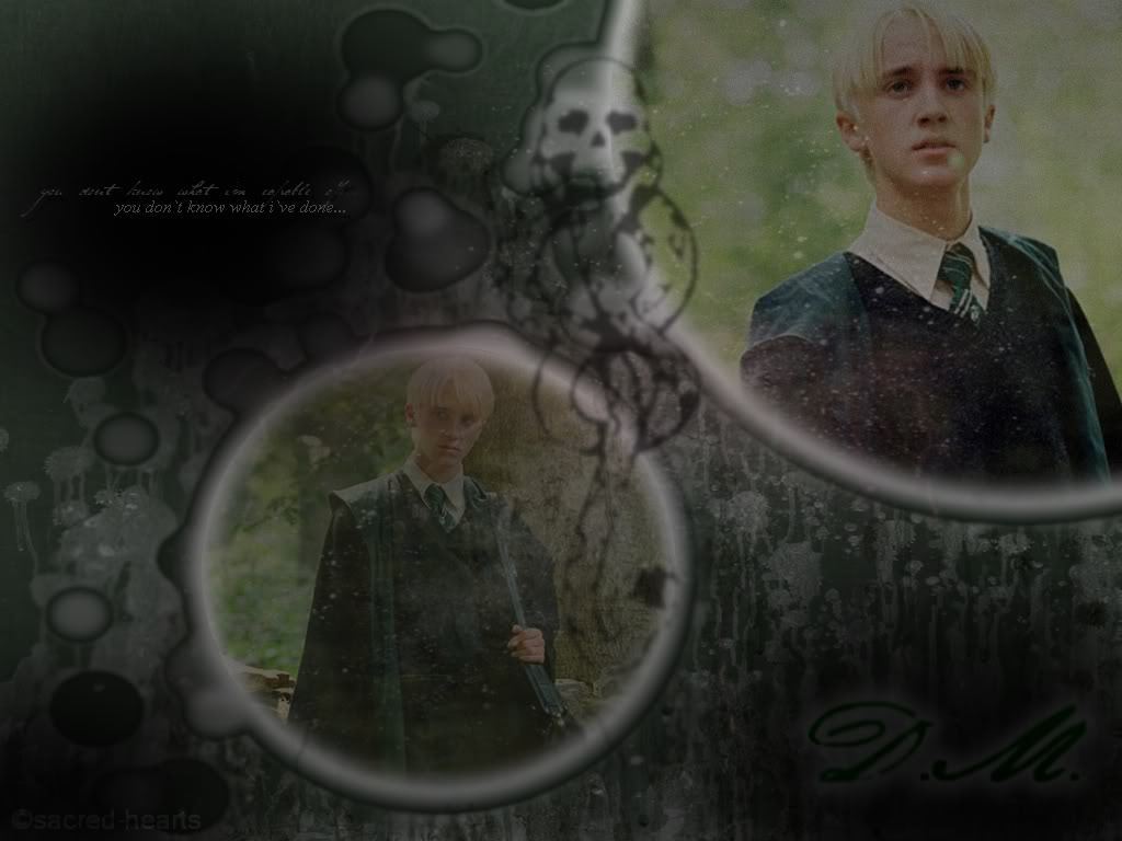 Draco Malfoy Wallpaper