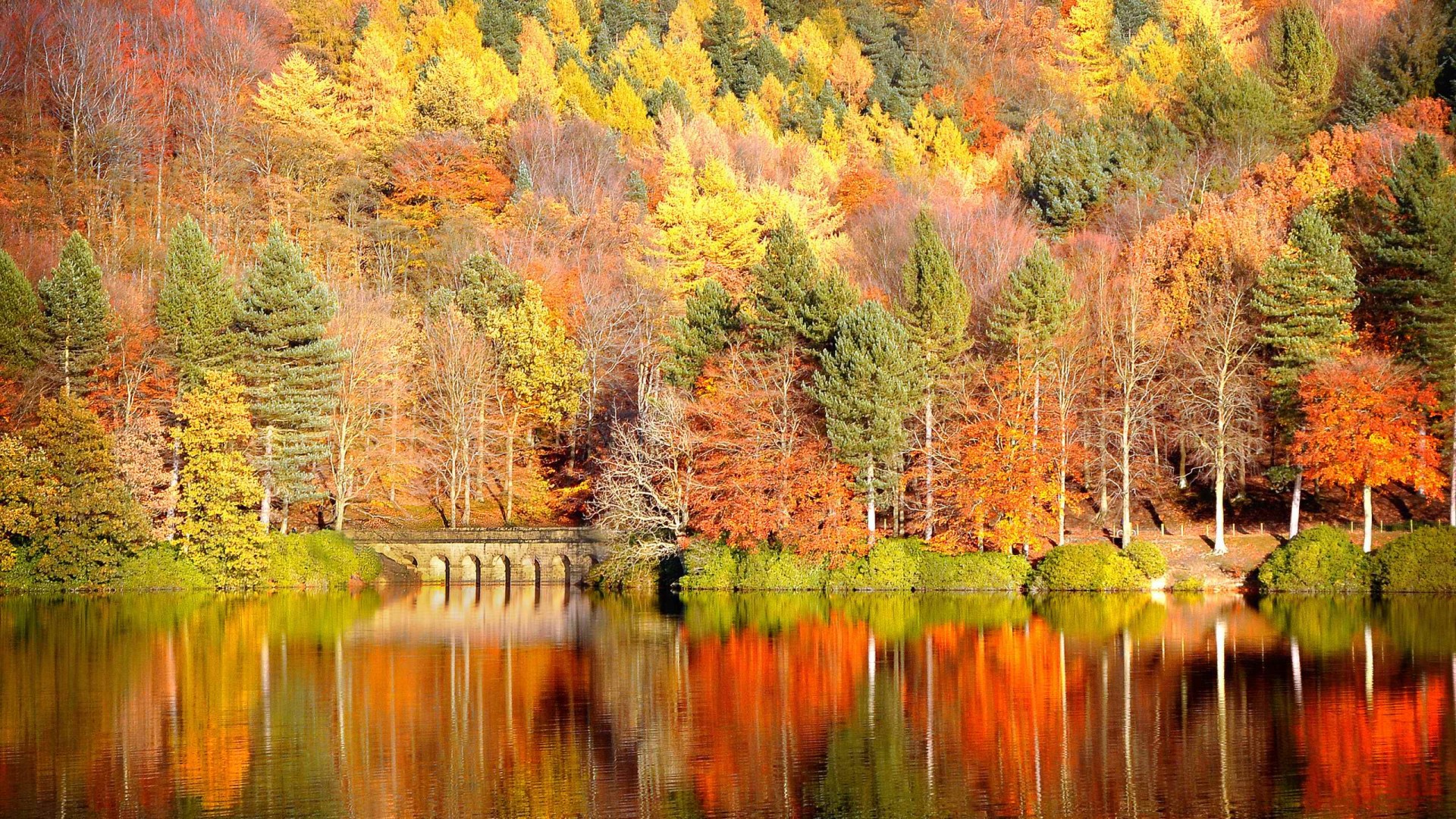 Fall Wallpaper X HD Background
