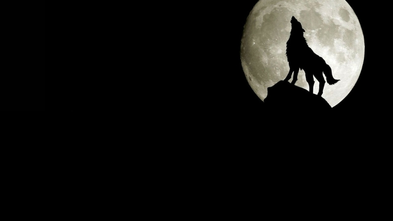 Moonblack background moon black background wolves 1920x1080 wallpaper