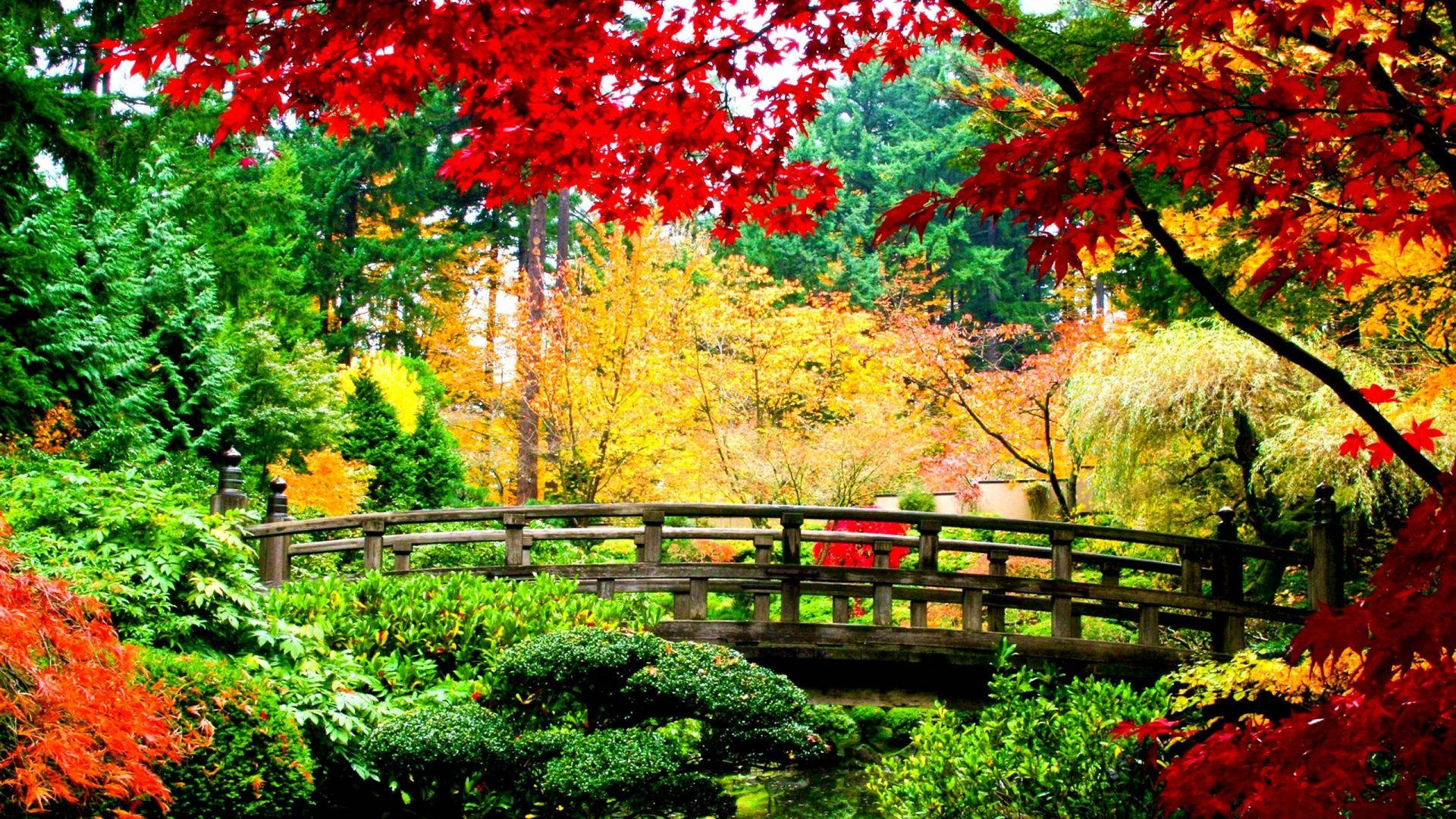 Cute Fall Wallpaper