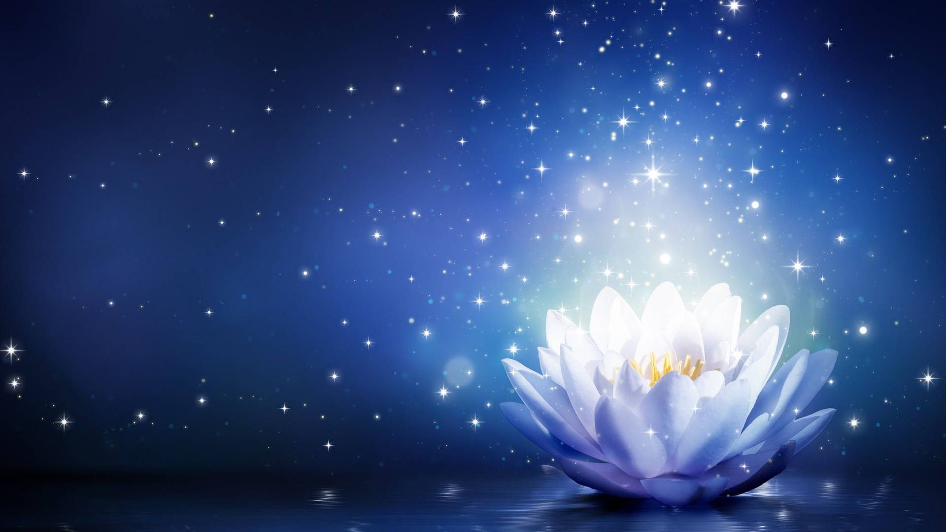Starry Lotus Digital Art B77n7t6dag4hbx0g Wallpaper