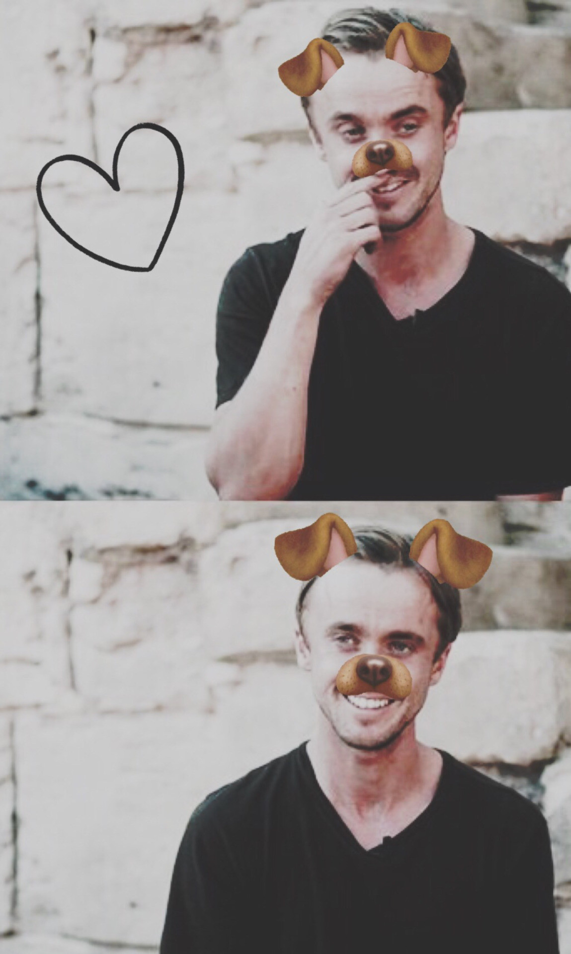 Tom Felton Wallpaper