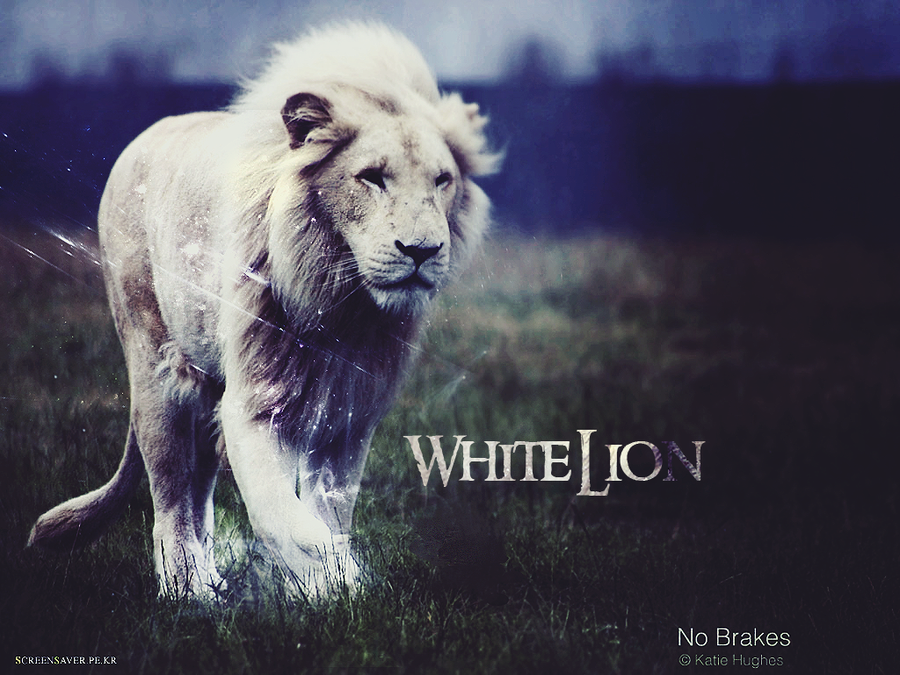 Free download White Lion Wallpaper by hidorE on [900x675] for your Desktop,  Mobile & Tablet | Explore 47+ White Lion Wallpaper Desktop | Lion White  Background, White Lion Background, Wallpaper Of White Lion