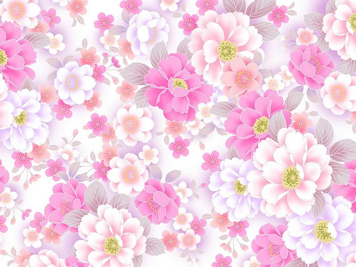Charming Poeny Flowers Sweet Flowery Background