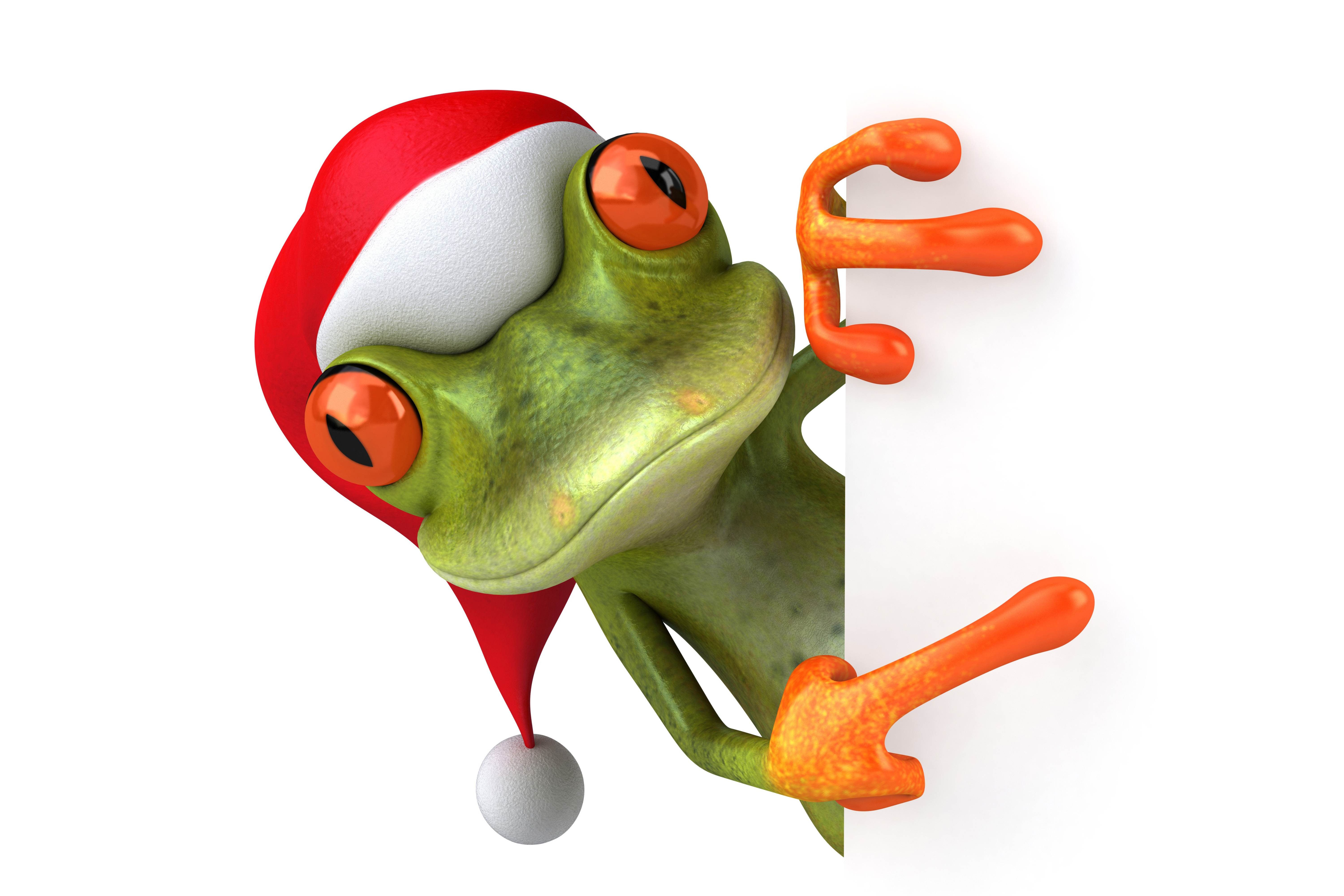 3d funny frog christmas santa hat wallpapers