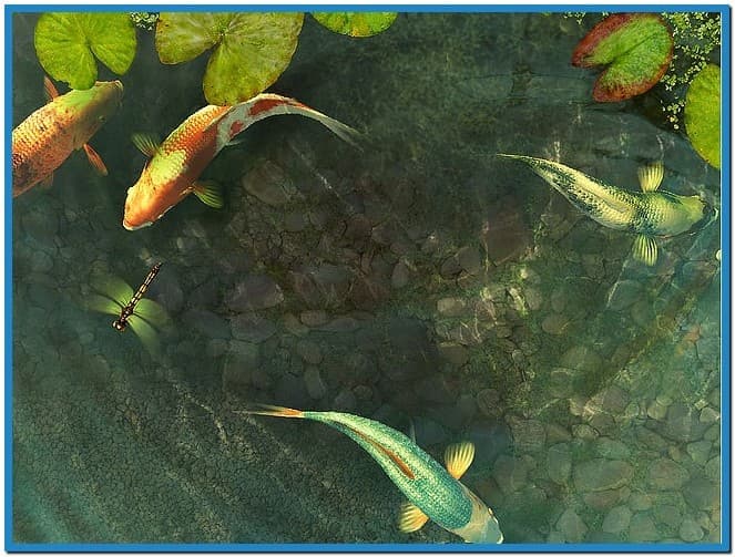 Koi Fish 3d Screensaver And Animated Wallpaper