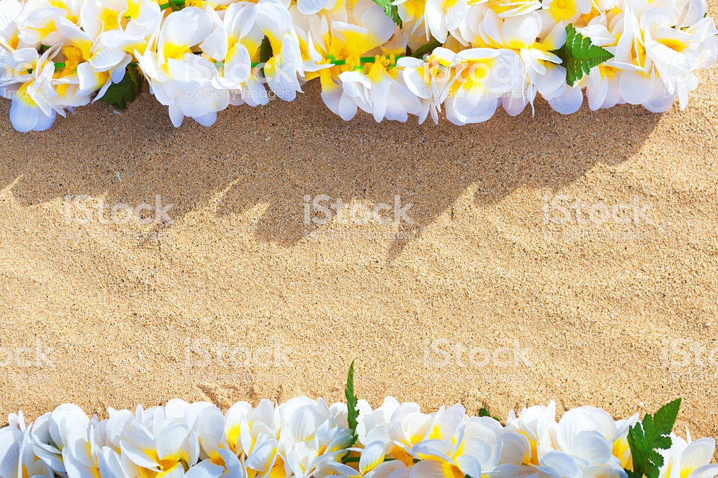 White Flower Lei Border On Beach For Travel Vacation Background