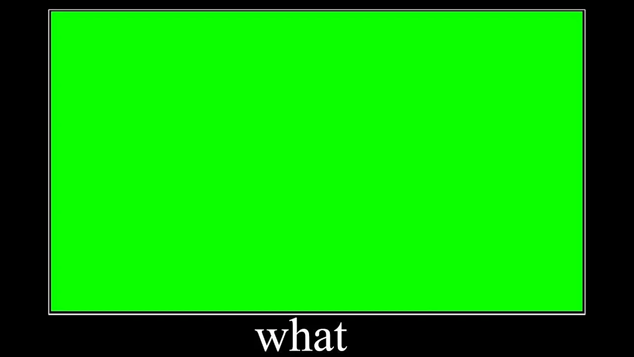 What Meme Wallpaper