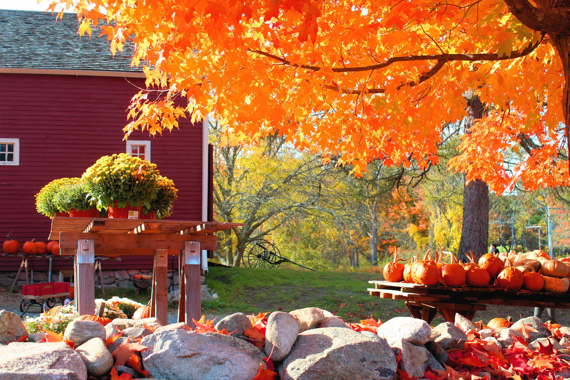 New England Autumn Wallpaper