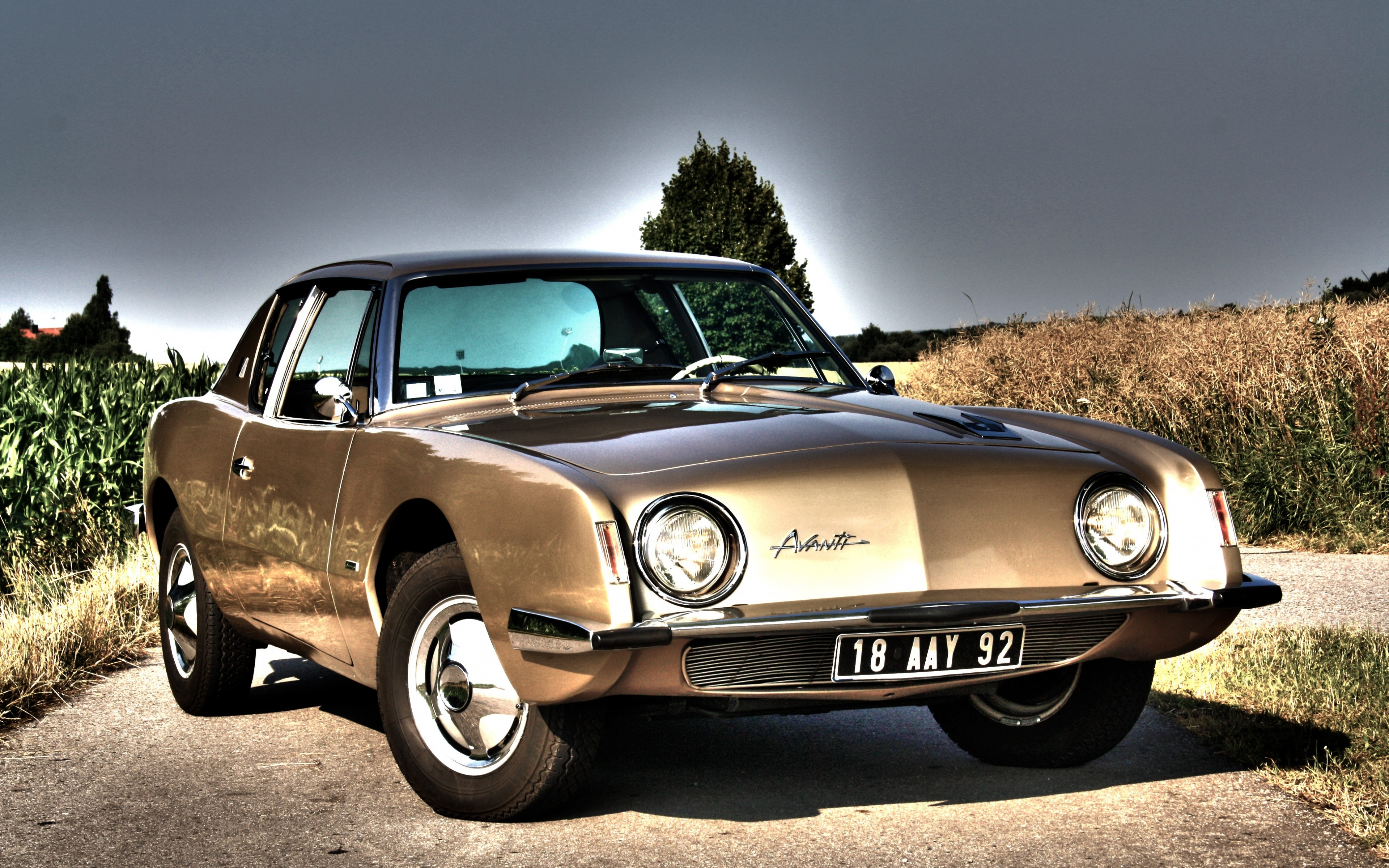 Wallpaper Studebaker Avanti Coupe Shining