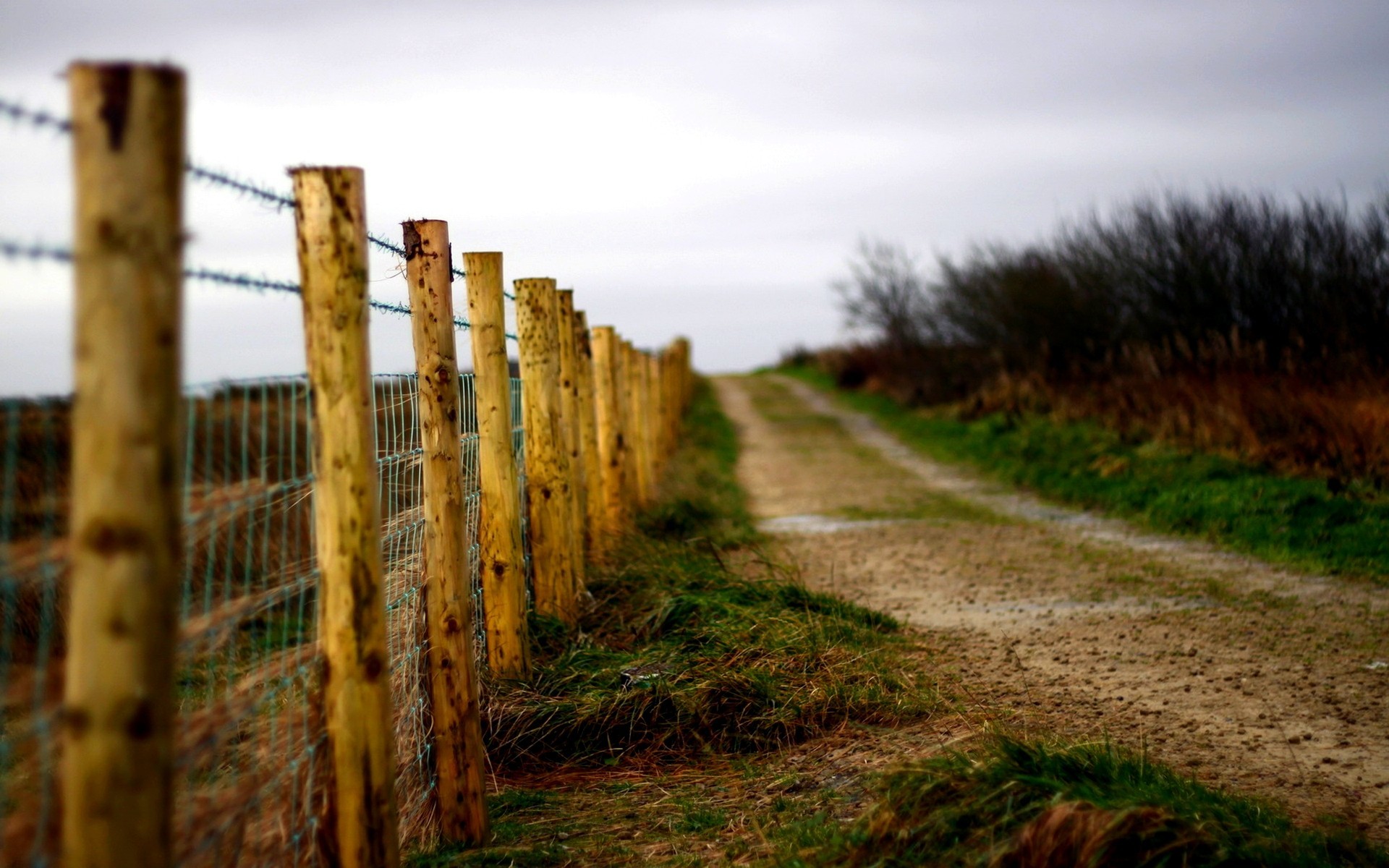 Country Roads Wallpaper