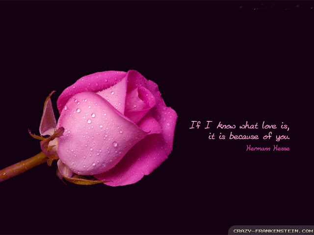 Romantic Pictures With Quotes Wallpaper Crazy