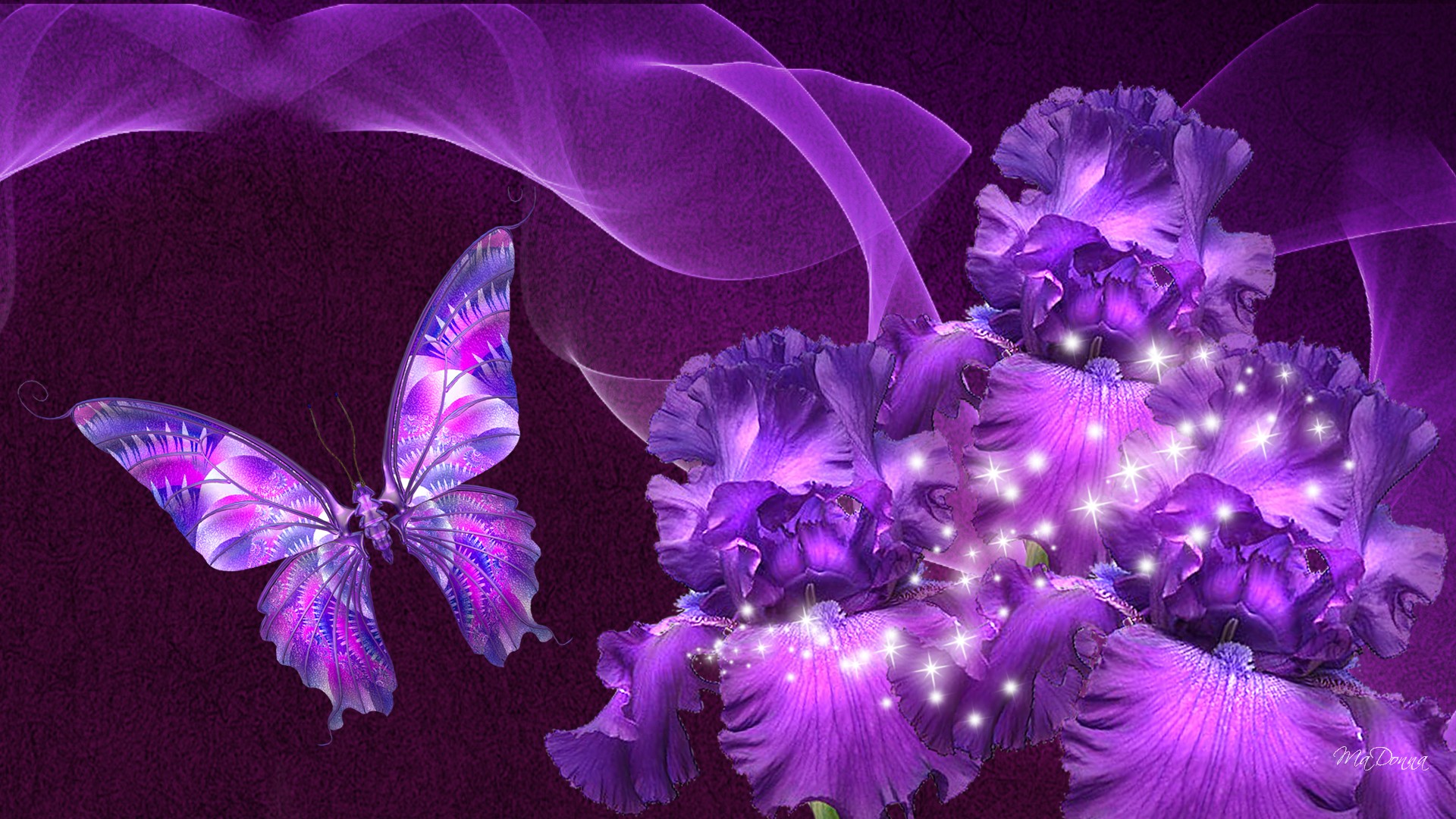 belleza de iris morado fondo de pantalla   ForWallpapercom