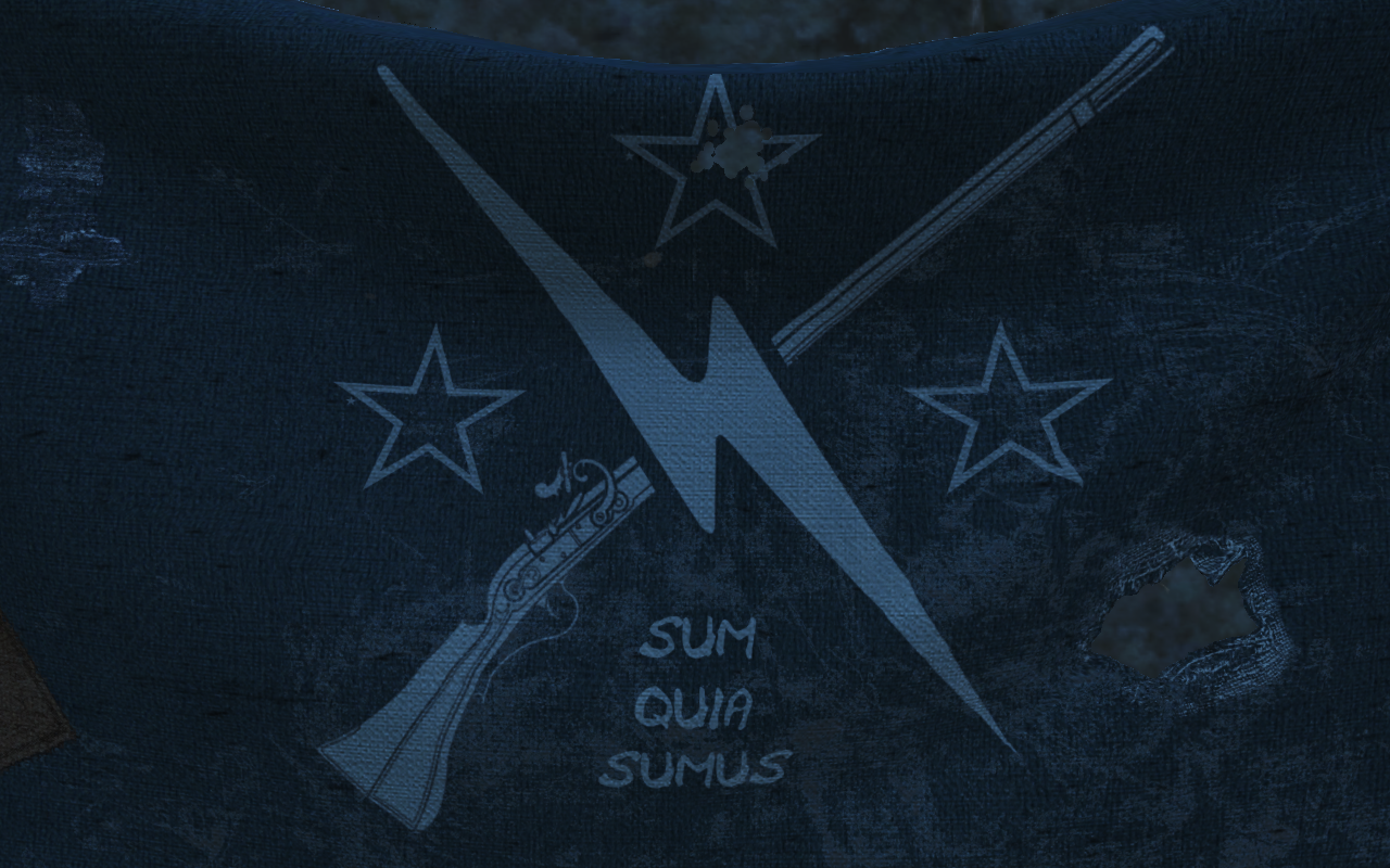 High Res Immersive Minutemen Flag At Fallout Nexus Mods And