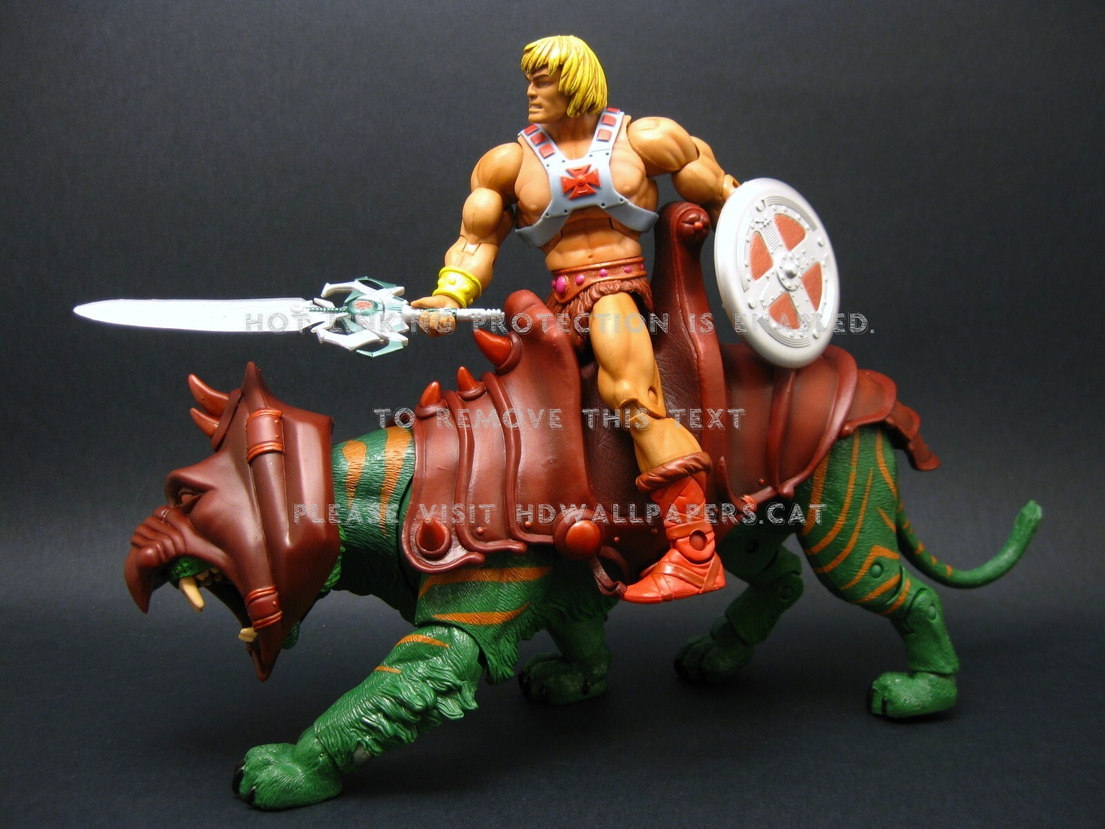 He Man Battlecat And Masters Of The