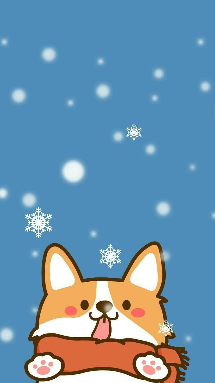 Zuza Jarocka On Corgie Wallpaper