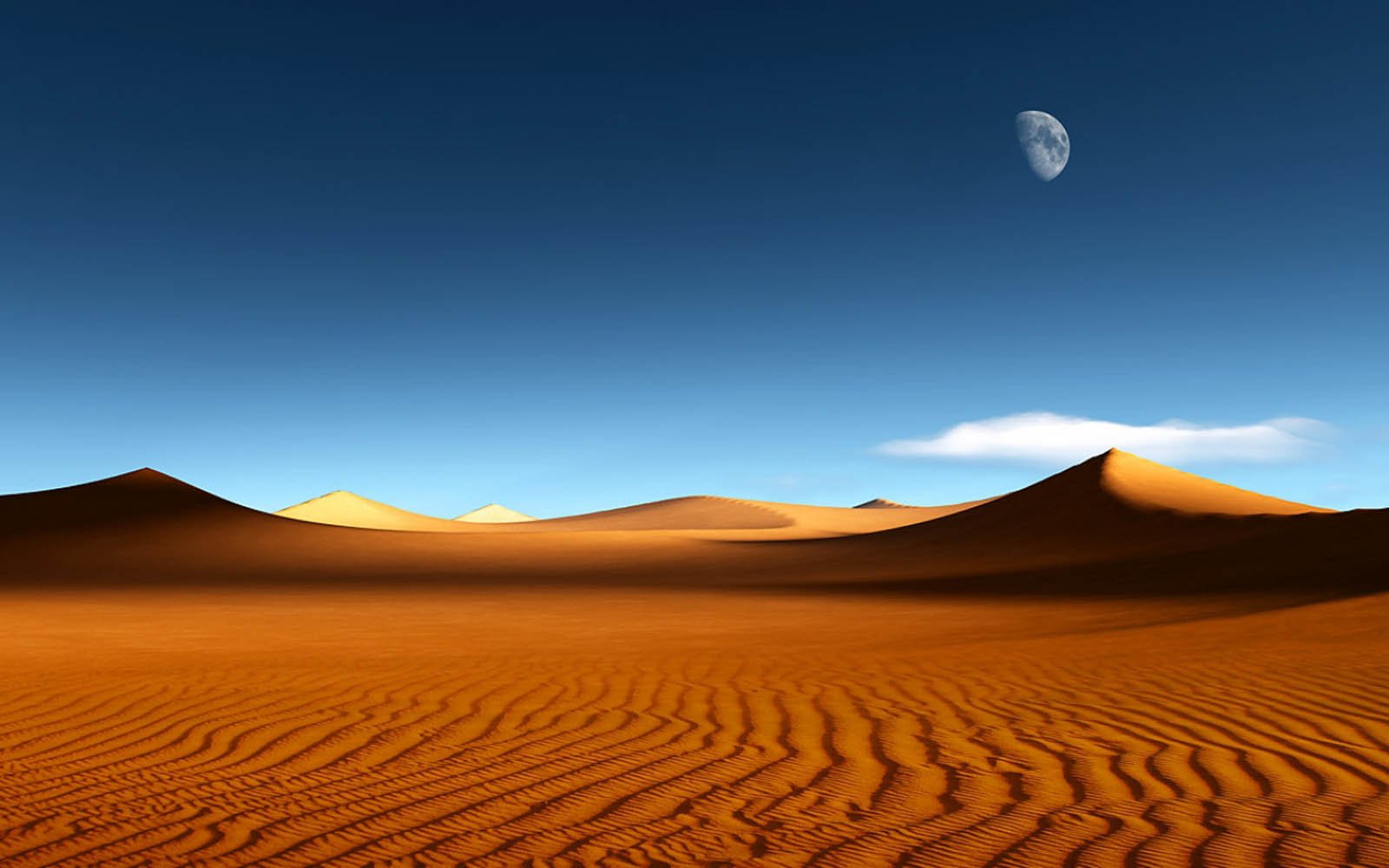 Desert Background on
