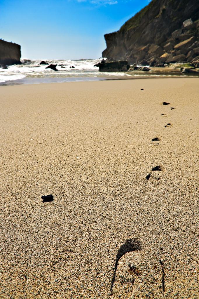 Free wallpaper background Footprints Scenic Sand Kohaihai Beach