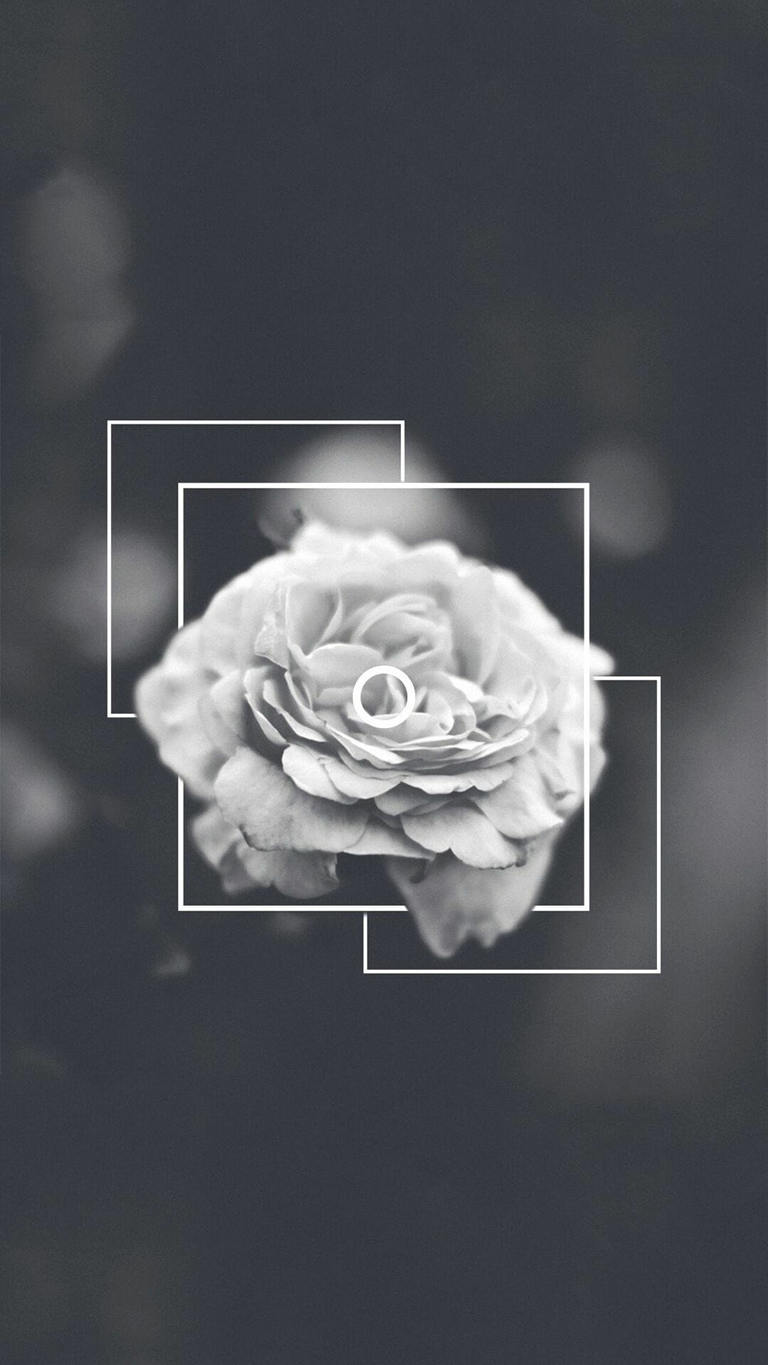 Cute White Aesthetic Wallpaper