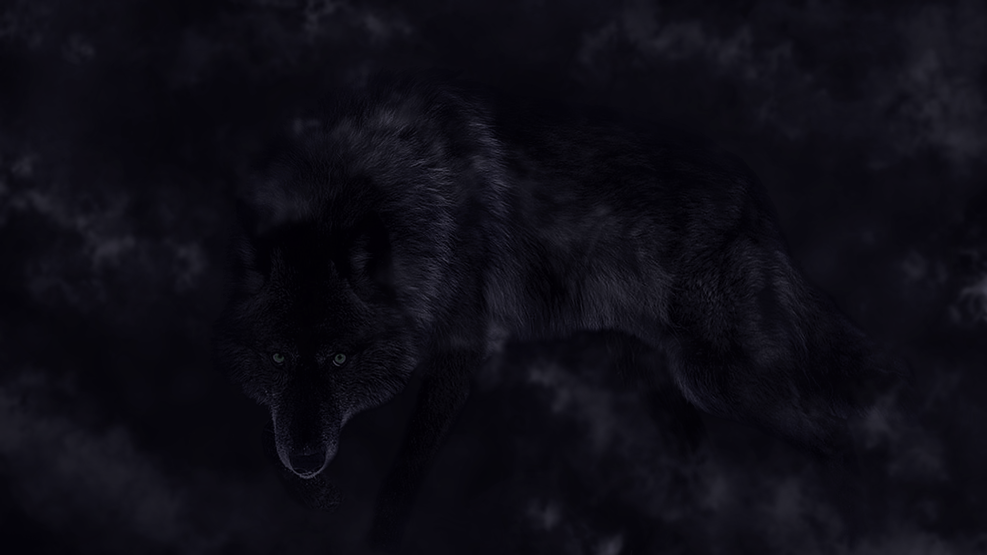 Wolf Aesthetic Wallpaper