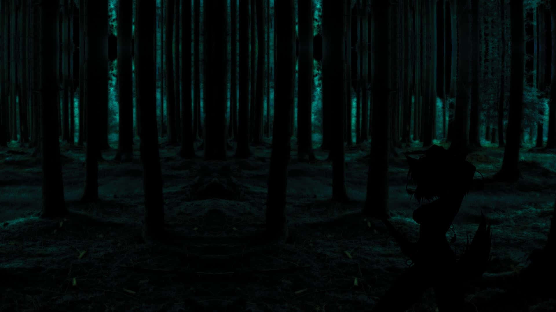 Dark Green Forest Wallpaper