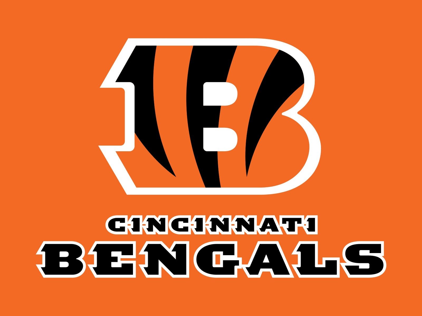 Cincinnati Bengals Logo 1600x1200 STANDARD Image Sports NFL Football 1600x1200