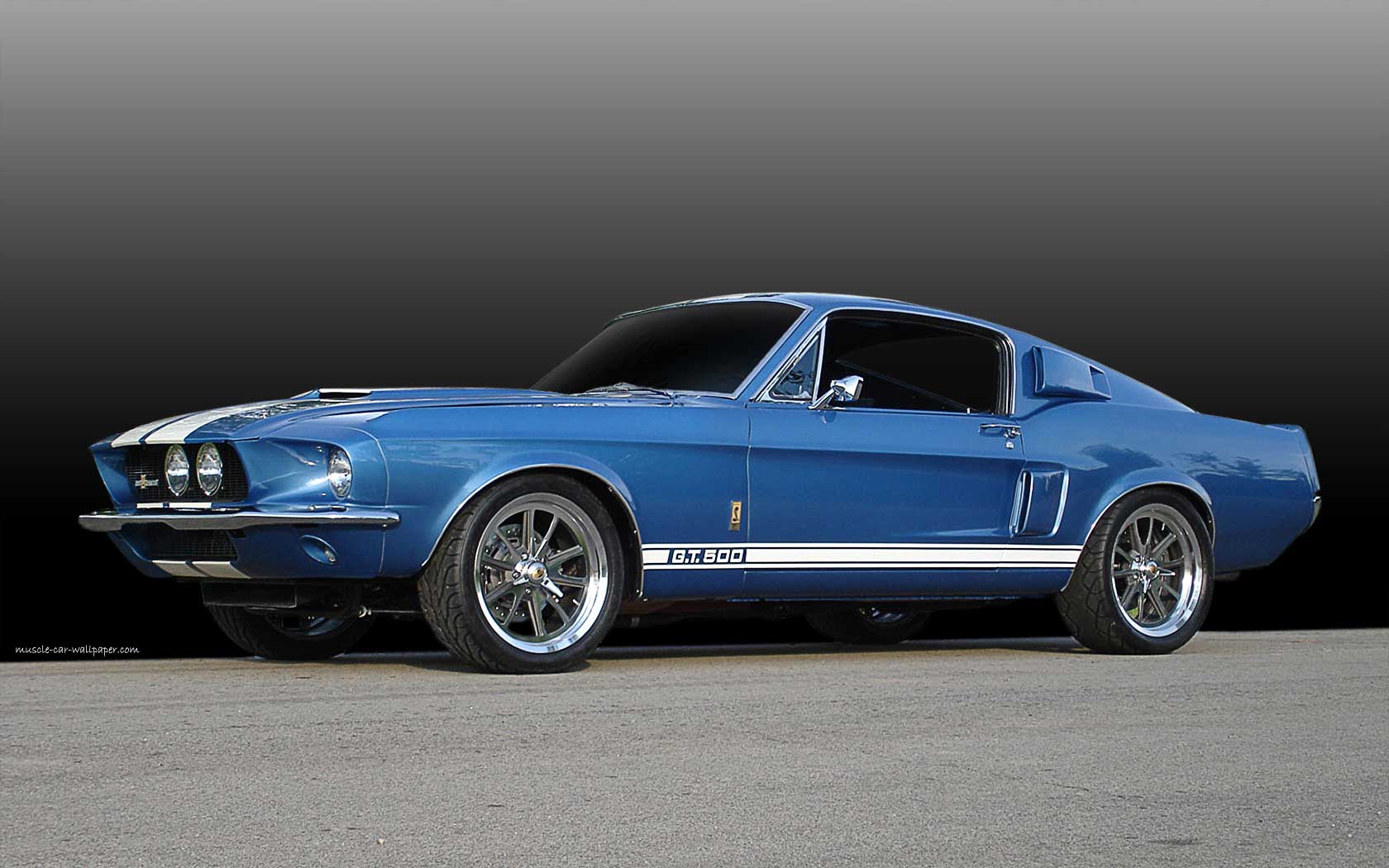Ford Mustang Shelby Gt500 Muscle Car Wallpaper 1680