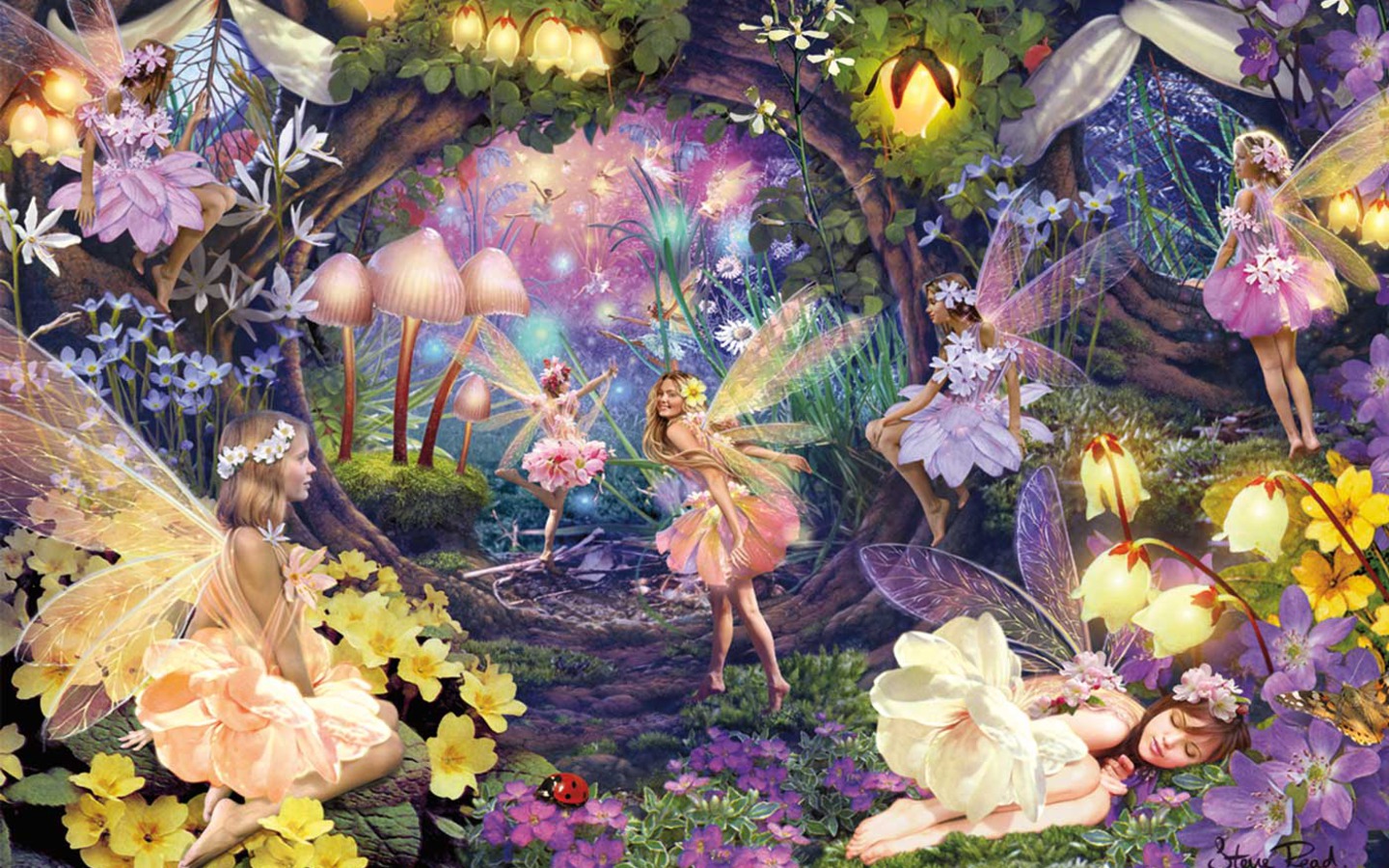 Beautiful Fantasy Angels Wallpaper Pixhome