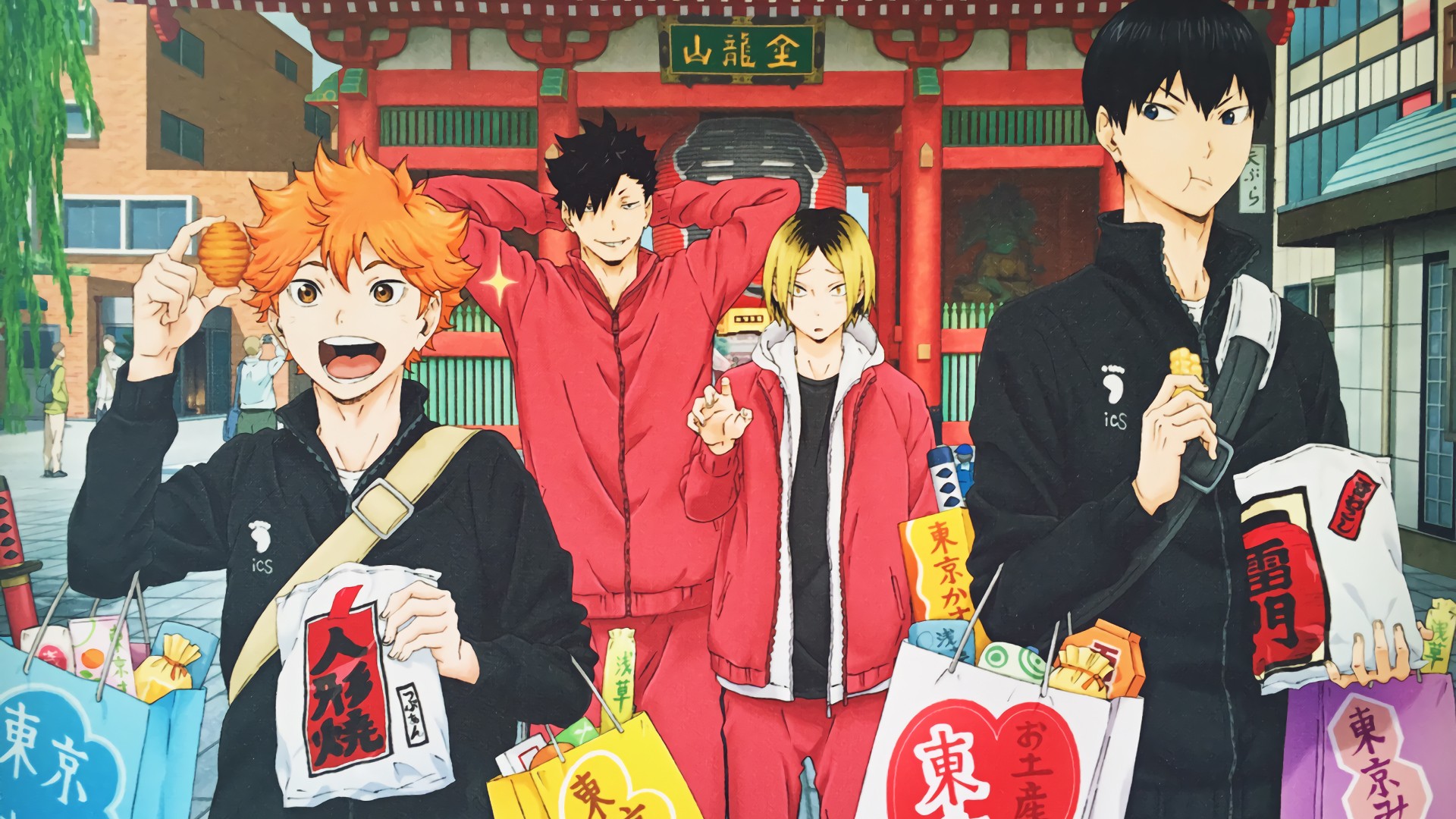 Shoyo Hinata Wallpaper
