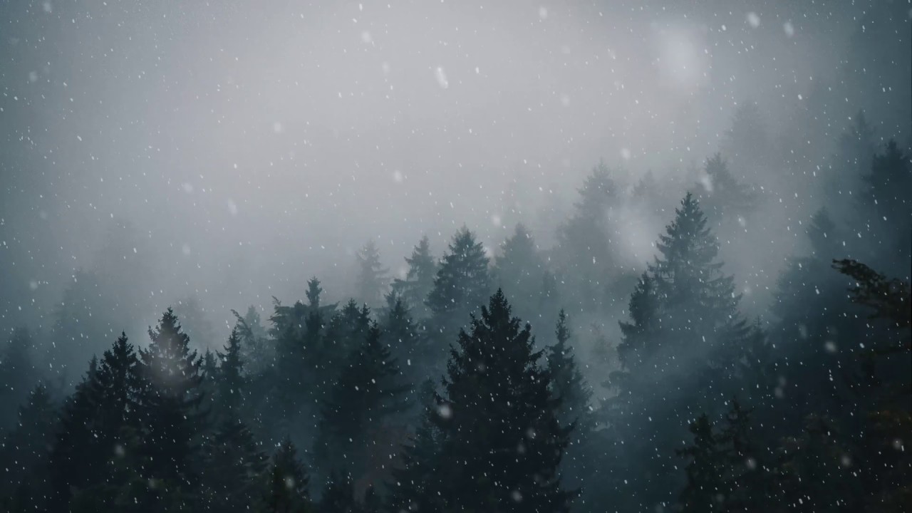 Animated Forest Snow For Wallpaper Engine 4k