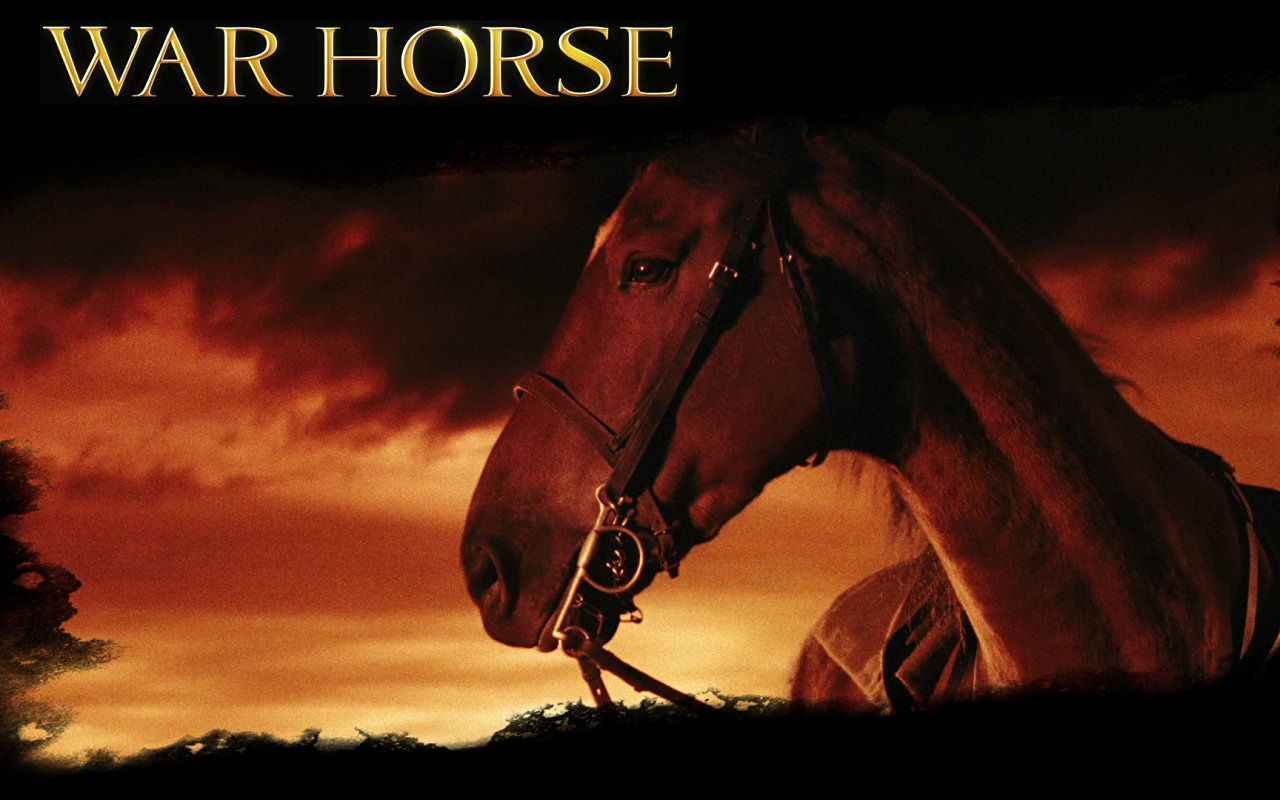 The Wallpaper About Movie War Horse World