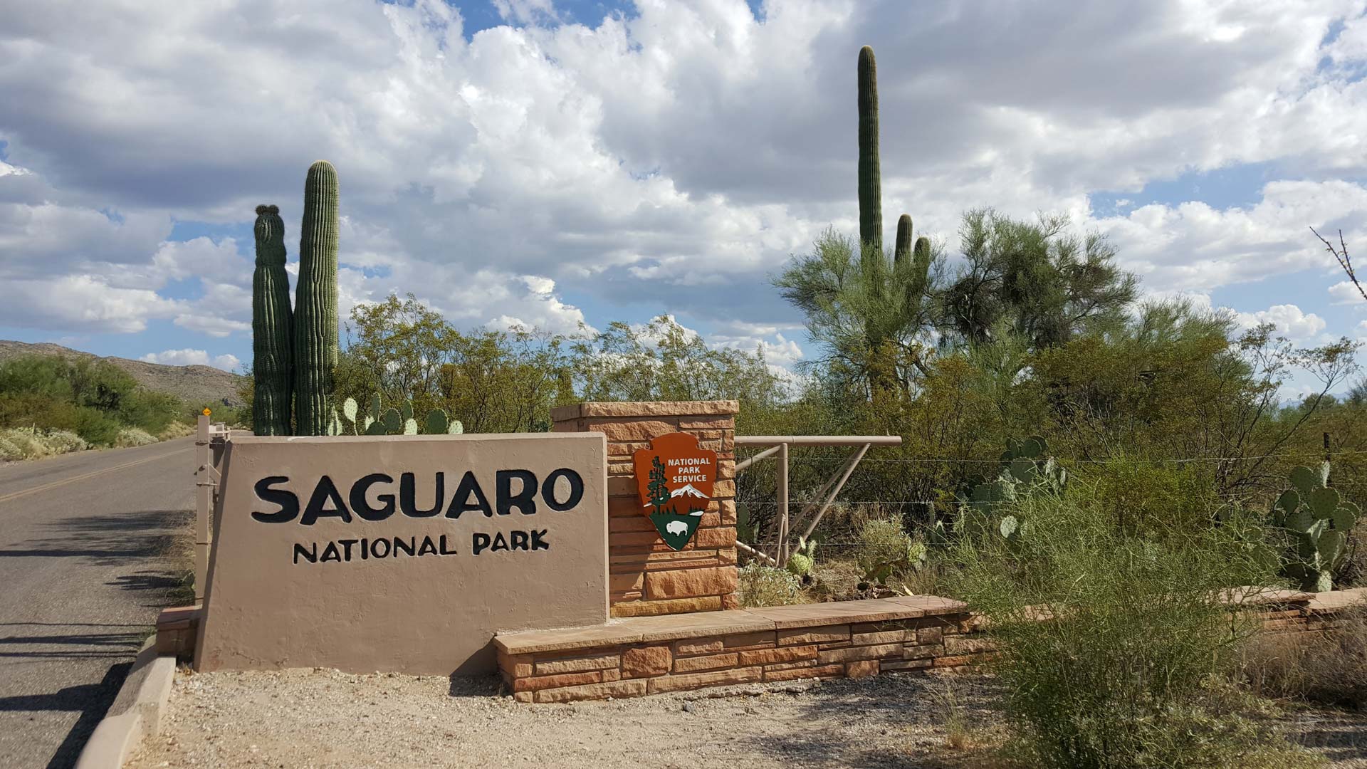 Volunteers Keep Saguaro National Park Clean During Shutdown Azpm