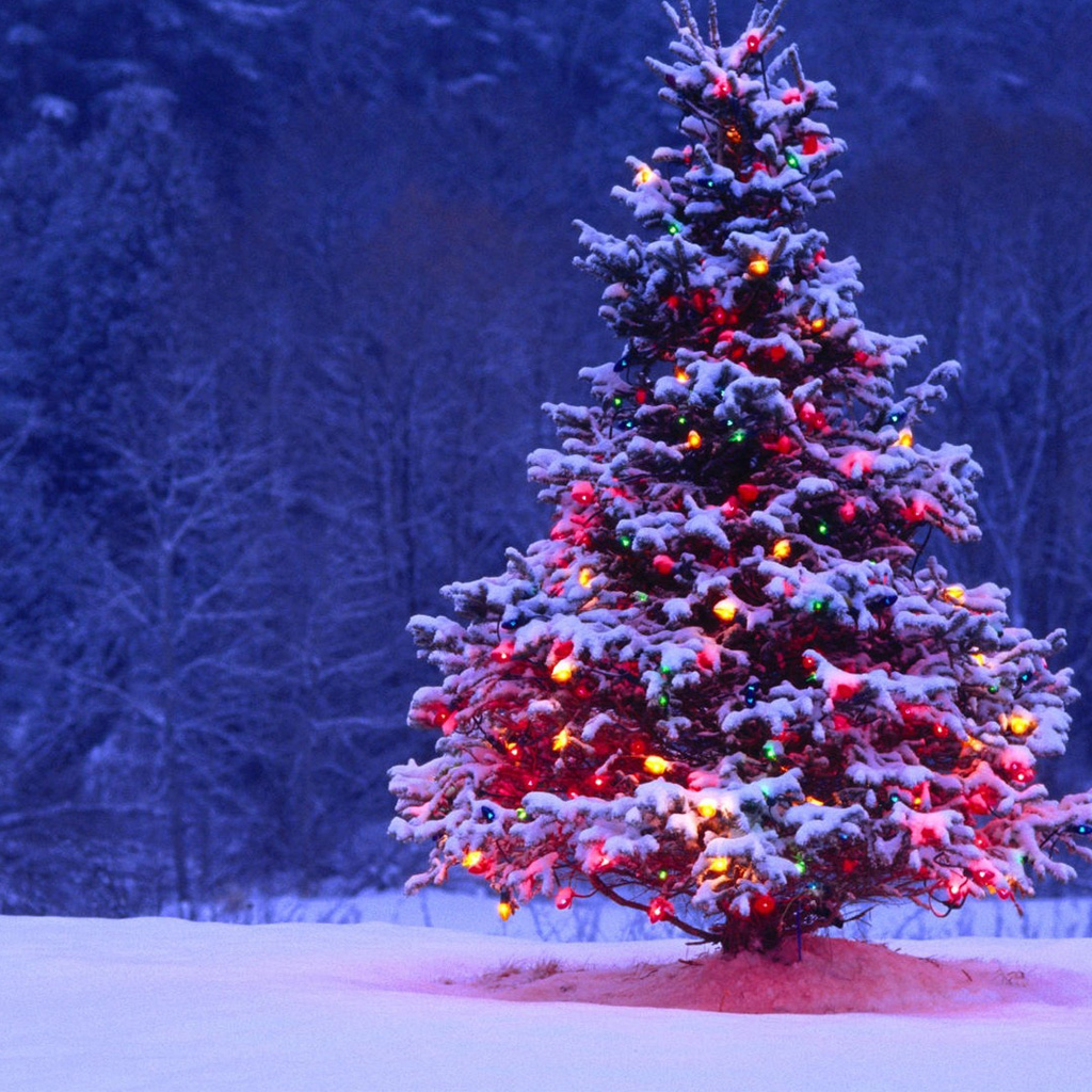  download Christmas Tree iPad Wallpaper Download iPhone 1024x1024