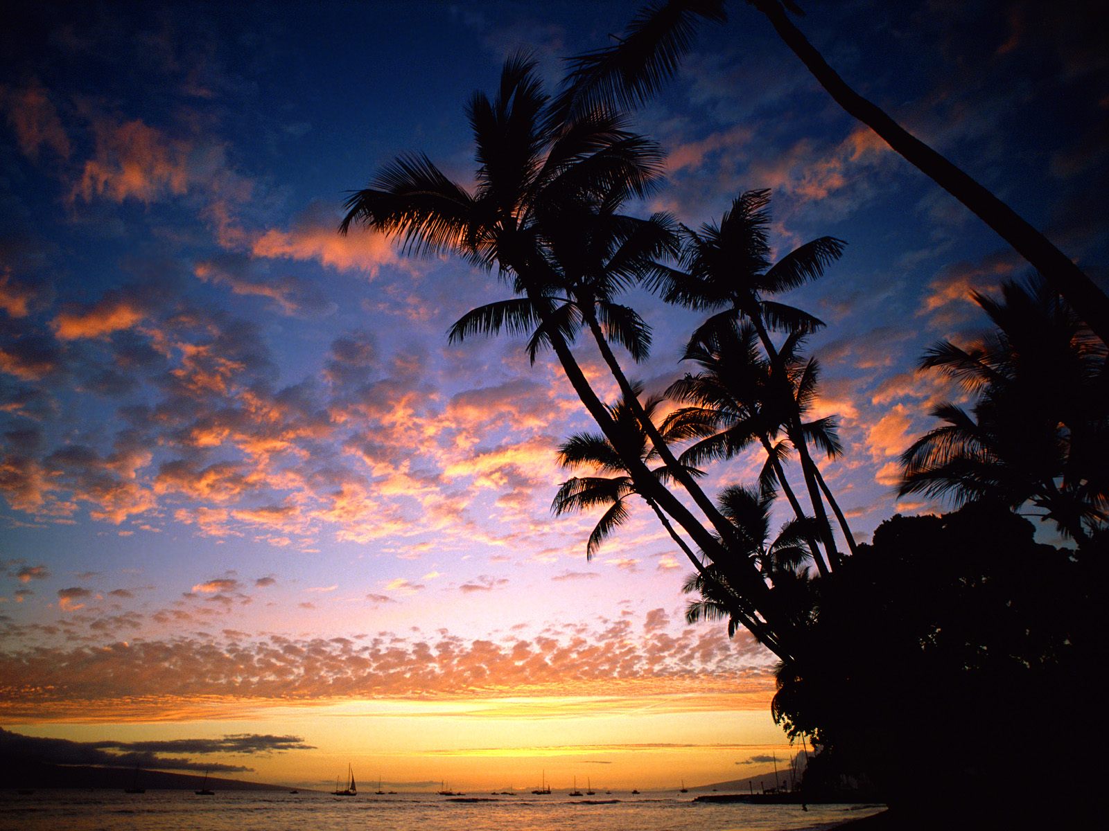 Hawaii Beach Sunset Wallpapercow